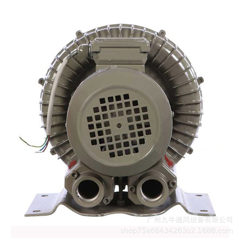 PXG type ring blower
