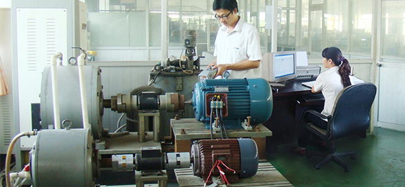 Professional motor manufacturer